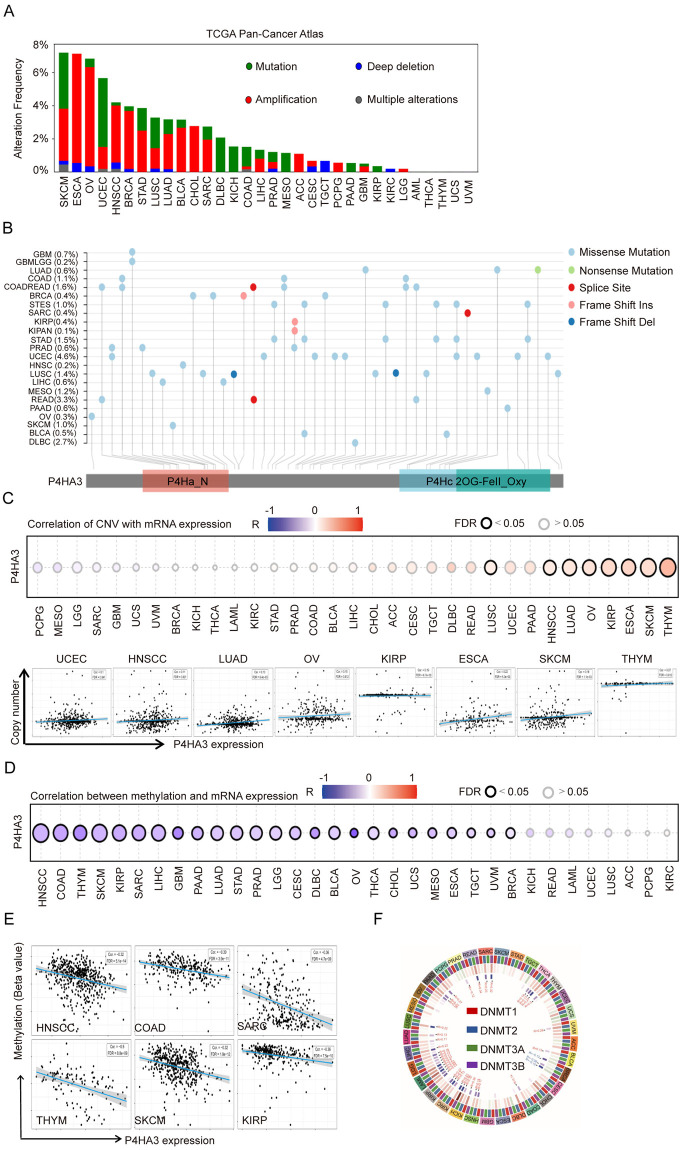 PMC11573185 – pcbi.1012284.g002
