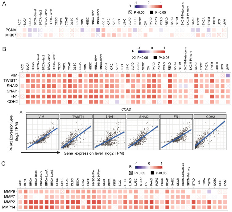 PMC11573185 – pcbi.1012284.g003