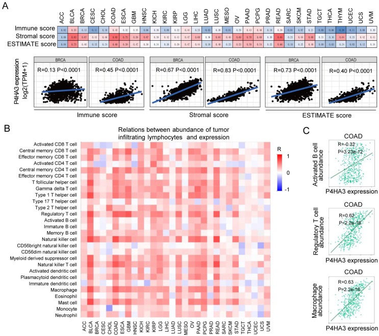 PMC11573185 – pcbi.1012284.g004