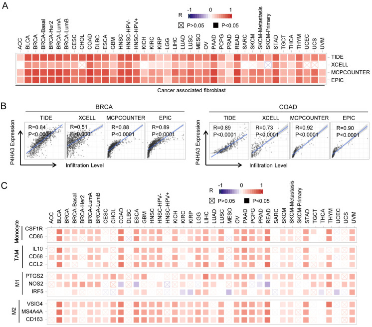 PMC11573185 – pcbi.1012284.g005
