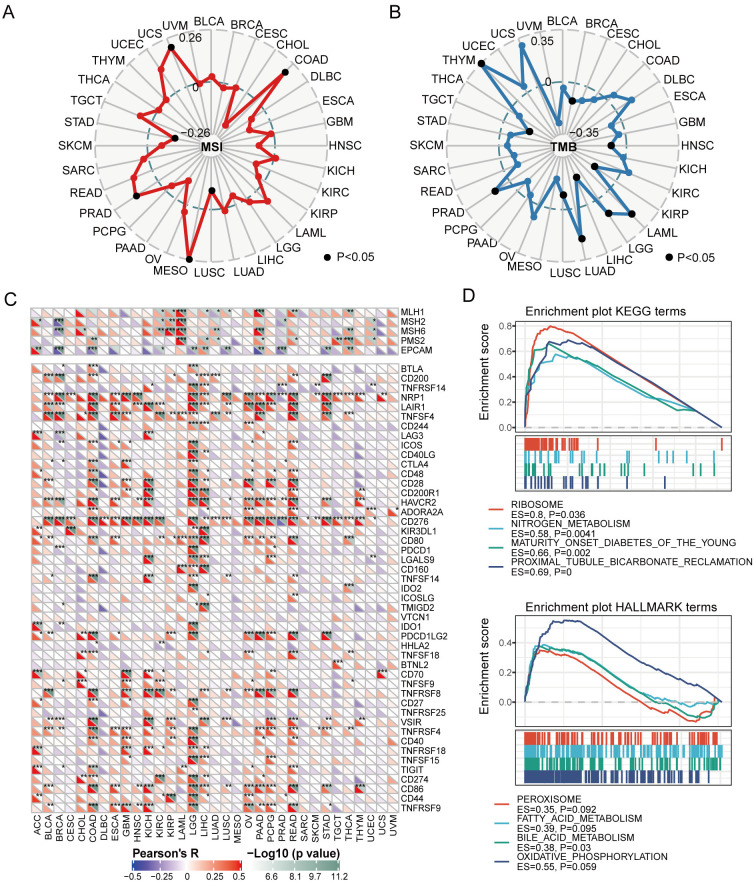 PMC11573185 – pcbi.1012284.g006