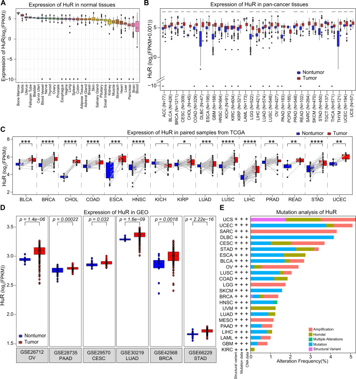 PMC12377624 – pcbi.1013374.g001