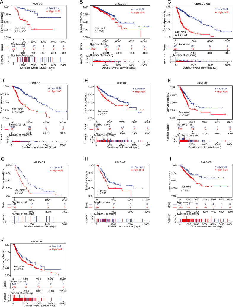 PMC12377624 – pcbi.1013374.g002