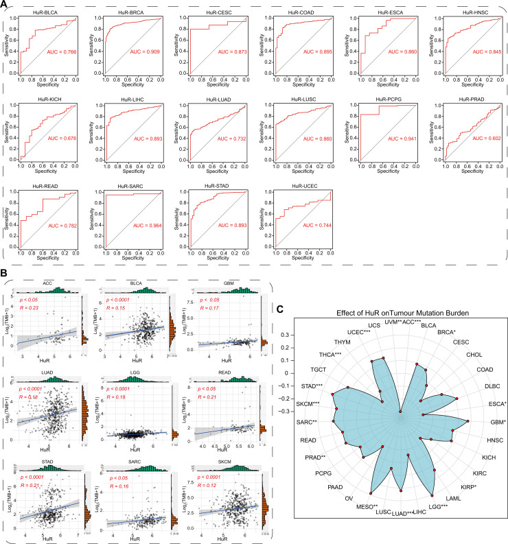 PMC12377624 – pcbi.1013374.g003