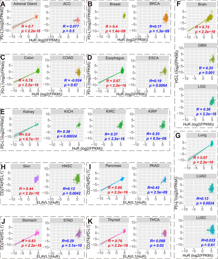 PMC12377624 – pcbi.1013374.g004
