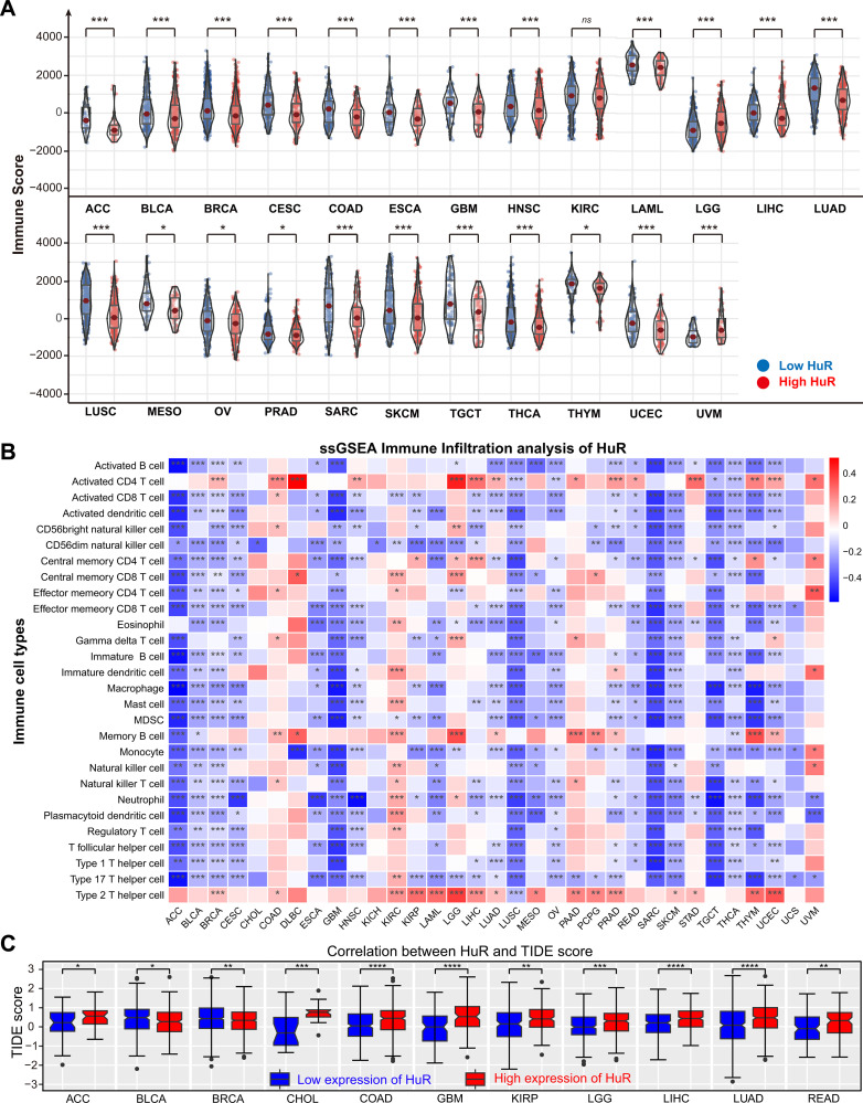 PMC12377624 – pcbi.1013374.g005