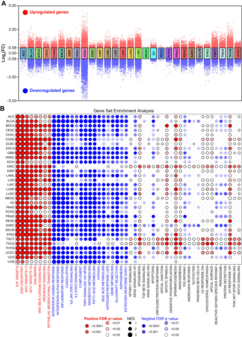 PMC12377624 – pcbi.1013374.g007