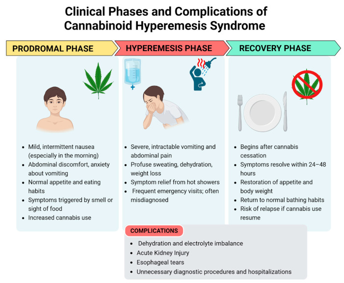 PMC12286159 – pediatrrep-17-00075-f001