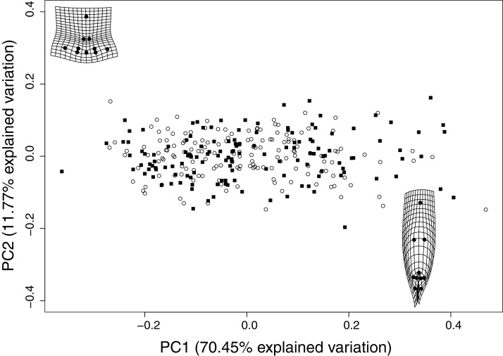 PMC8063869 – fig-2