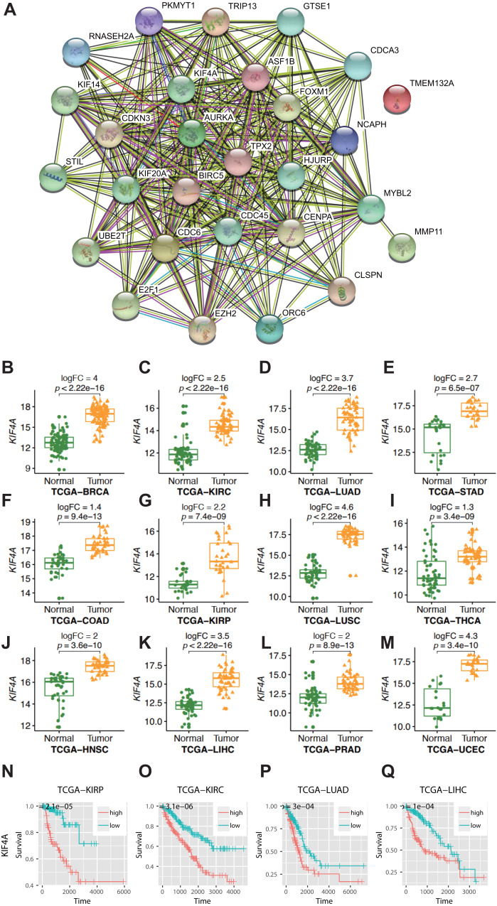 PMC8142929 – fig-1