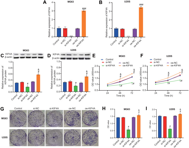 PMC8142929 – fig-3