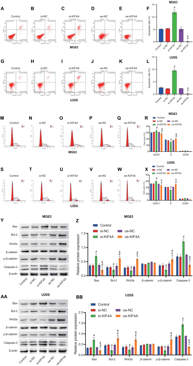 PMC8142929 – fig-5