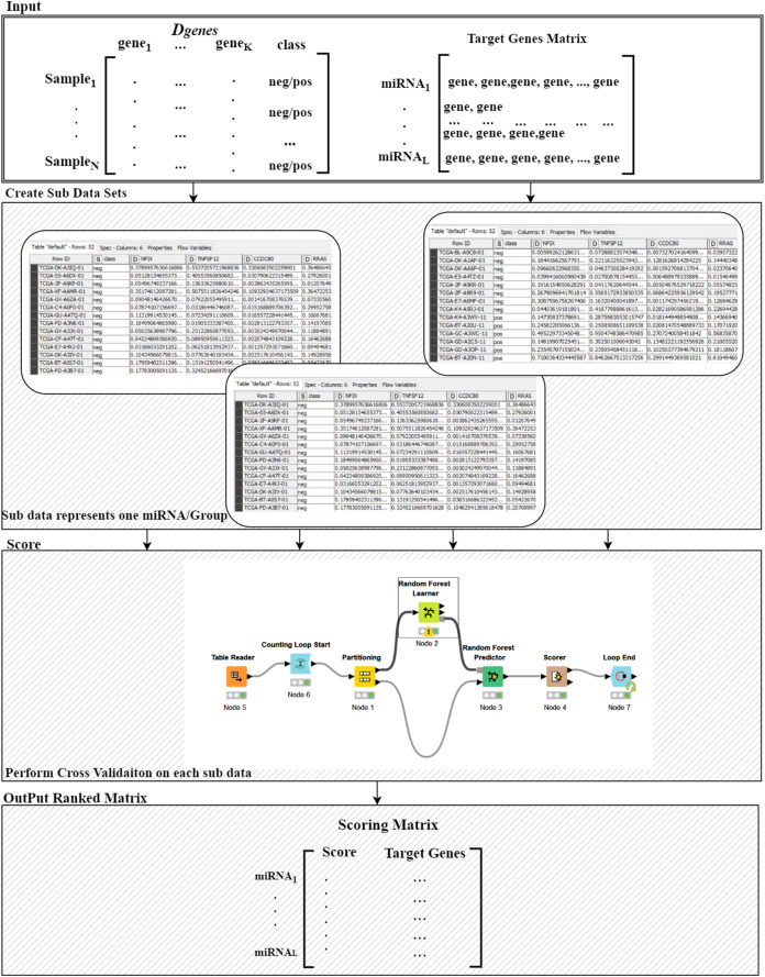 PMC8140596 – fig-3