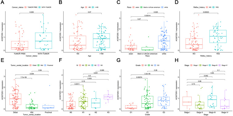 PMC8286057 – fig-2