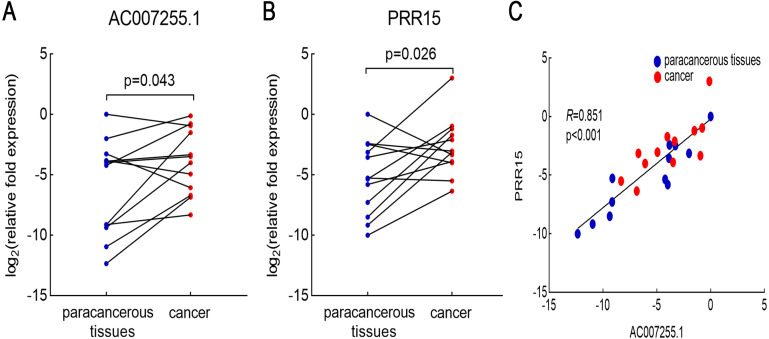 PMC8286057 – fig-4