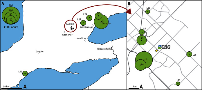 PMC8320520 – fig-1