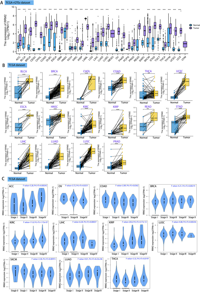 PMC9744174 – fig-1