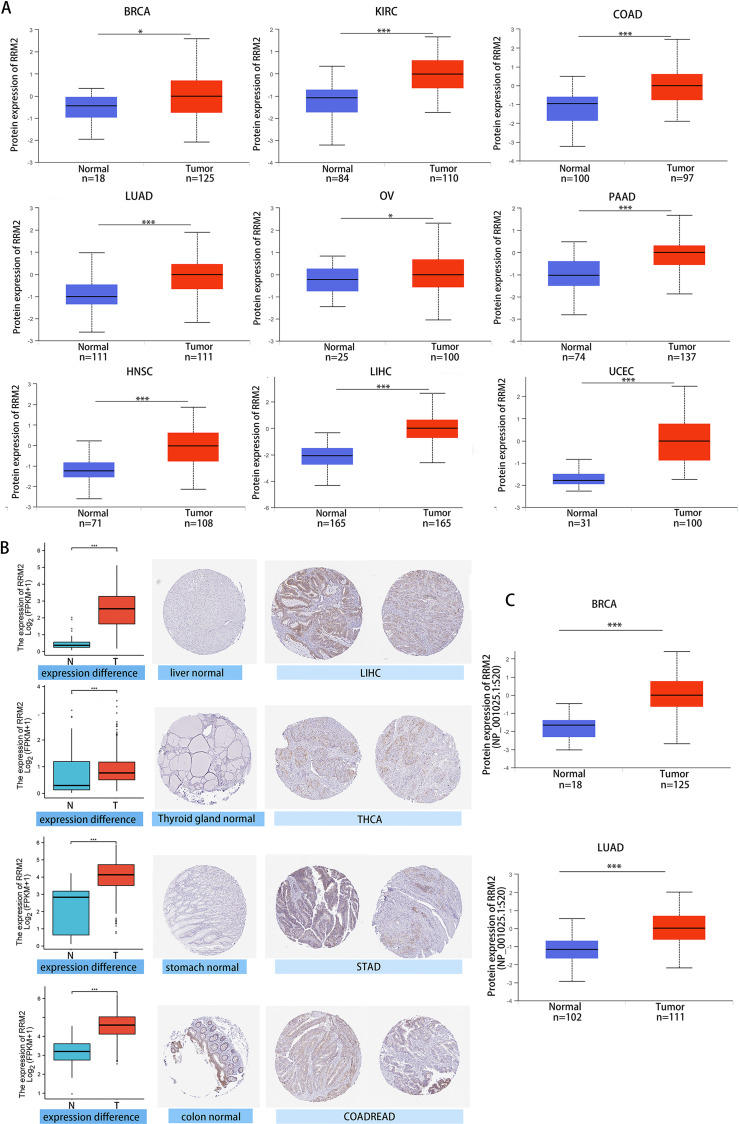 PMC9744174 – fig-2