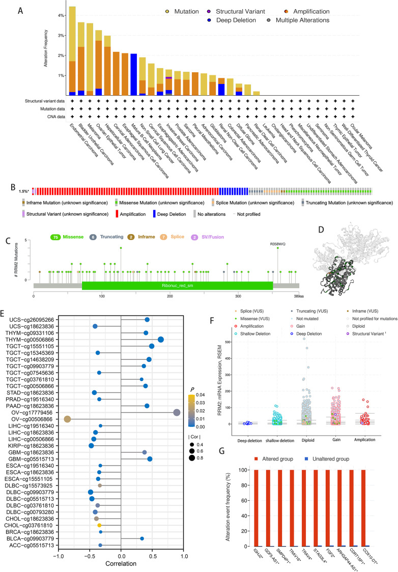 PMC9744174 – fig-5