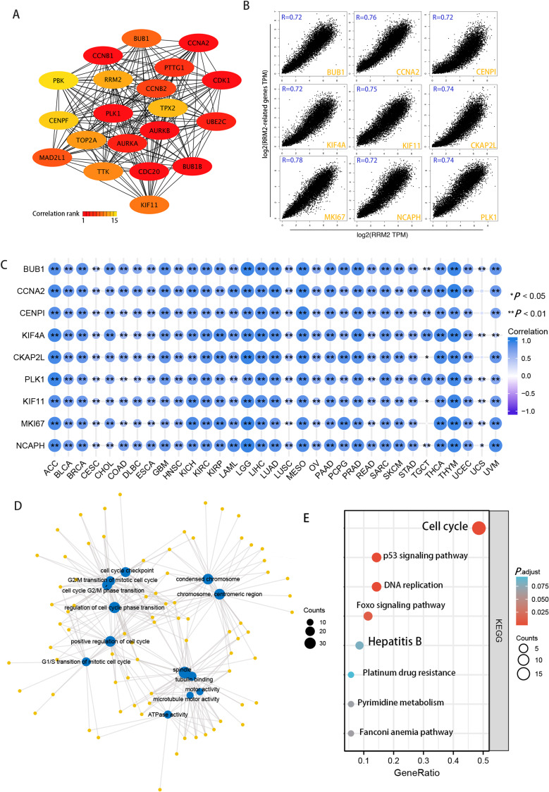 PMC9744174 – fig-6