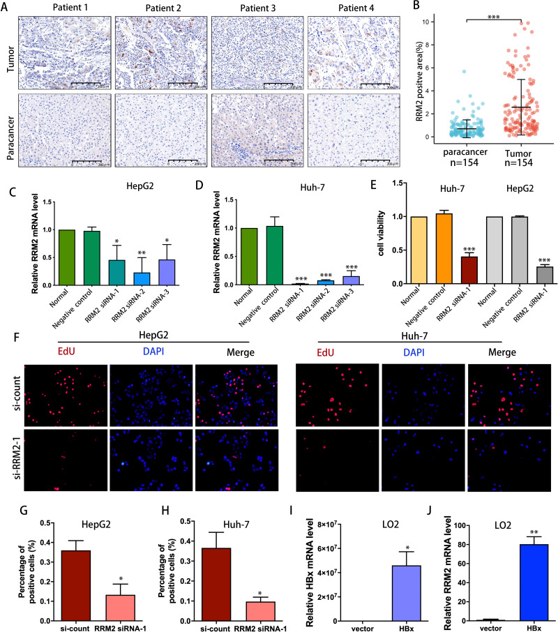 PMC9744174 – fig-9