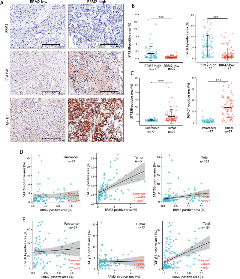 PMC9744174 – fig-10