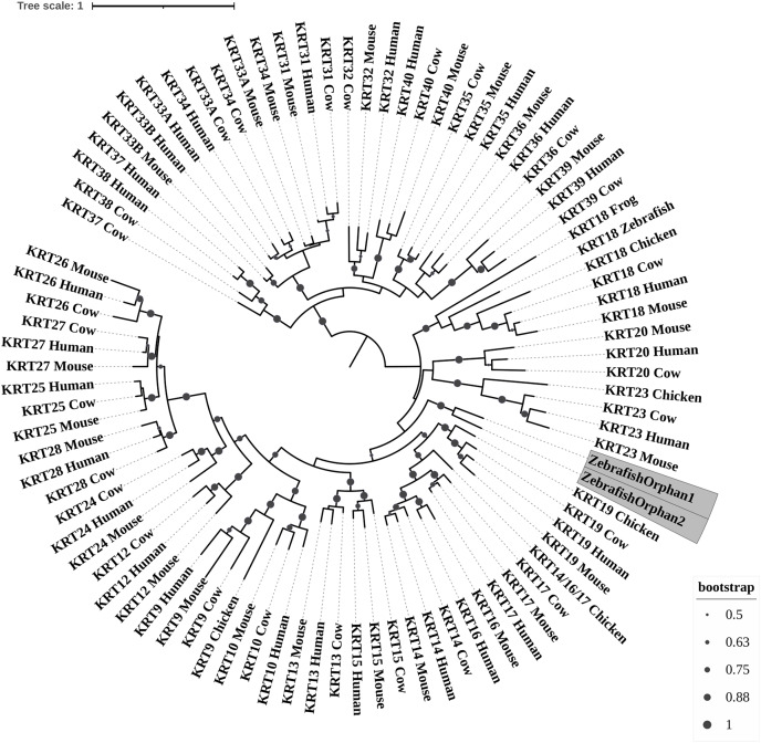 PMC10026720 – fig-1