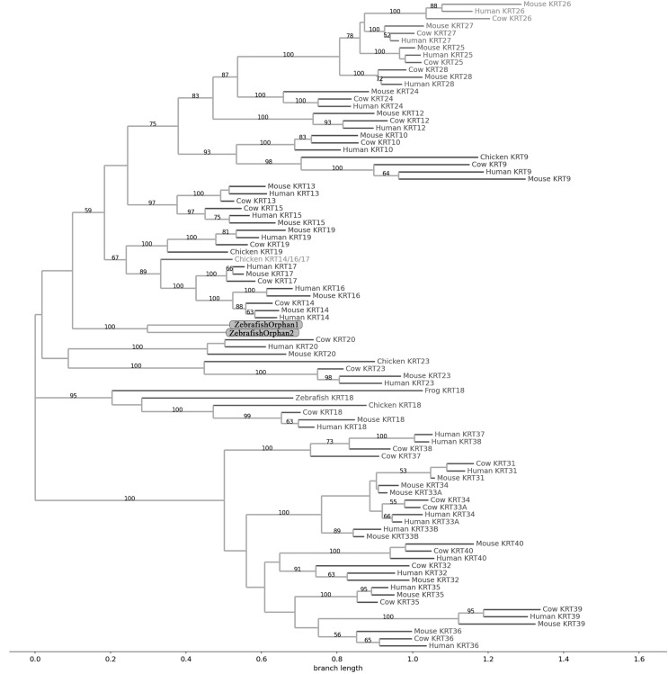 PMC10026720 – fig-2