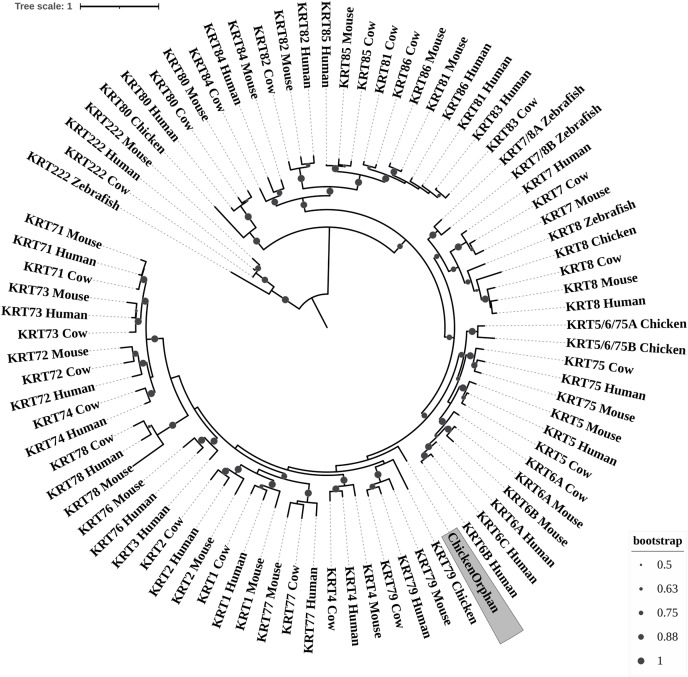 PMC10026720 – fig-3