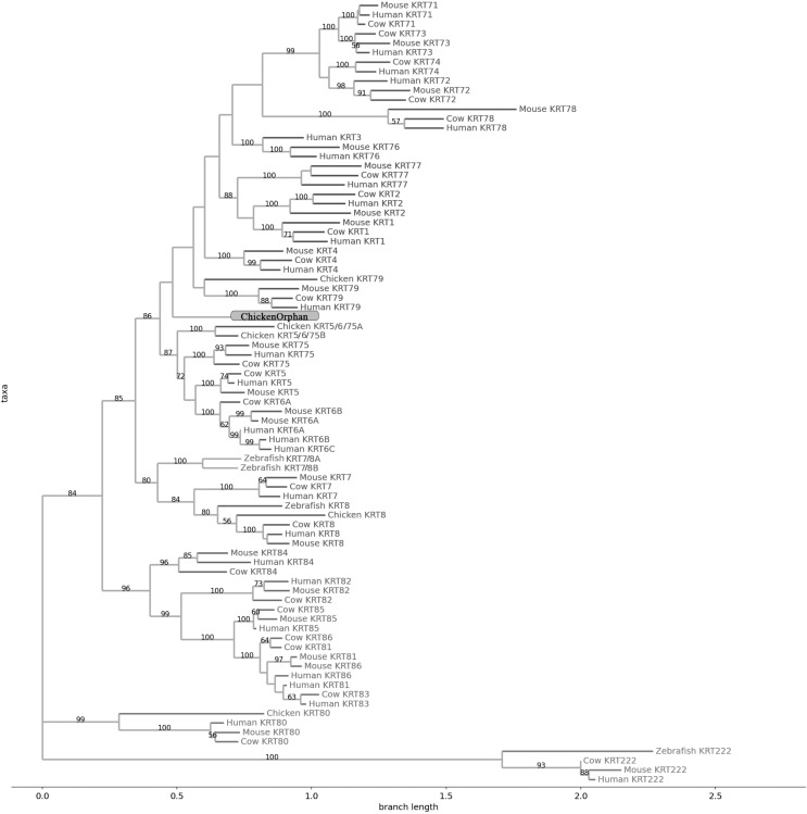 PMC10026720 – fig-4