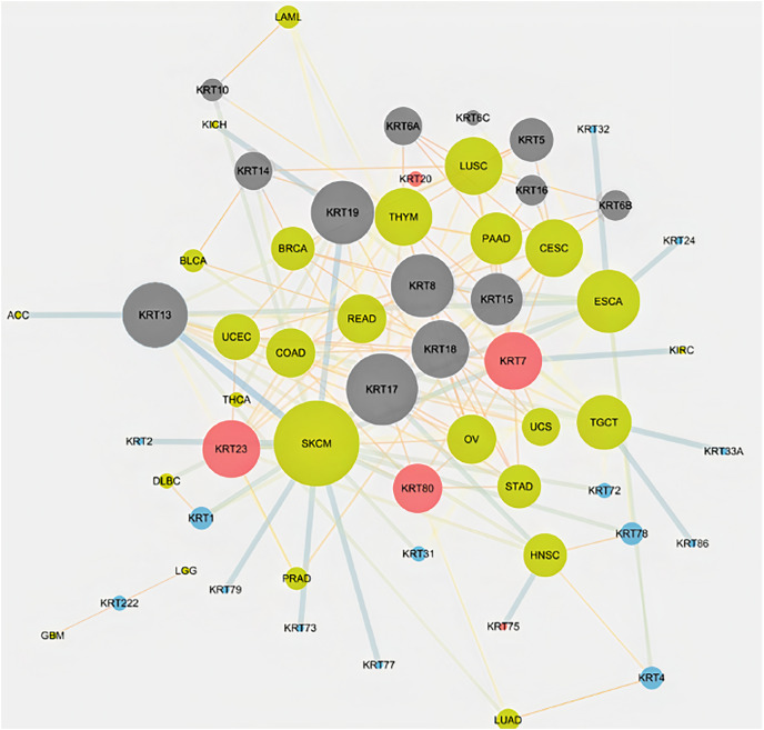 PMC10026720 – fig-6