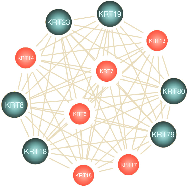 PMC10026720 – fig-7