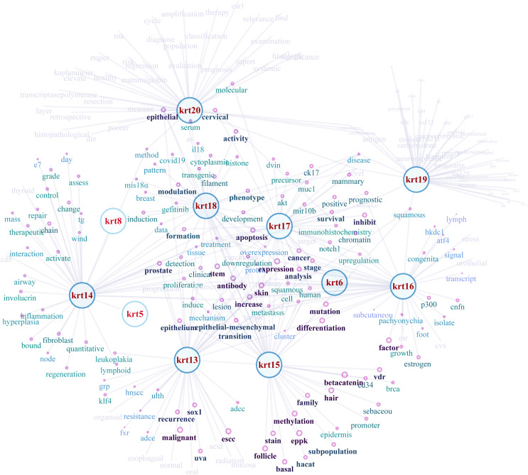 PMC10026720 – fig-8