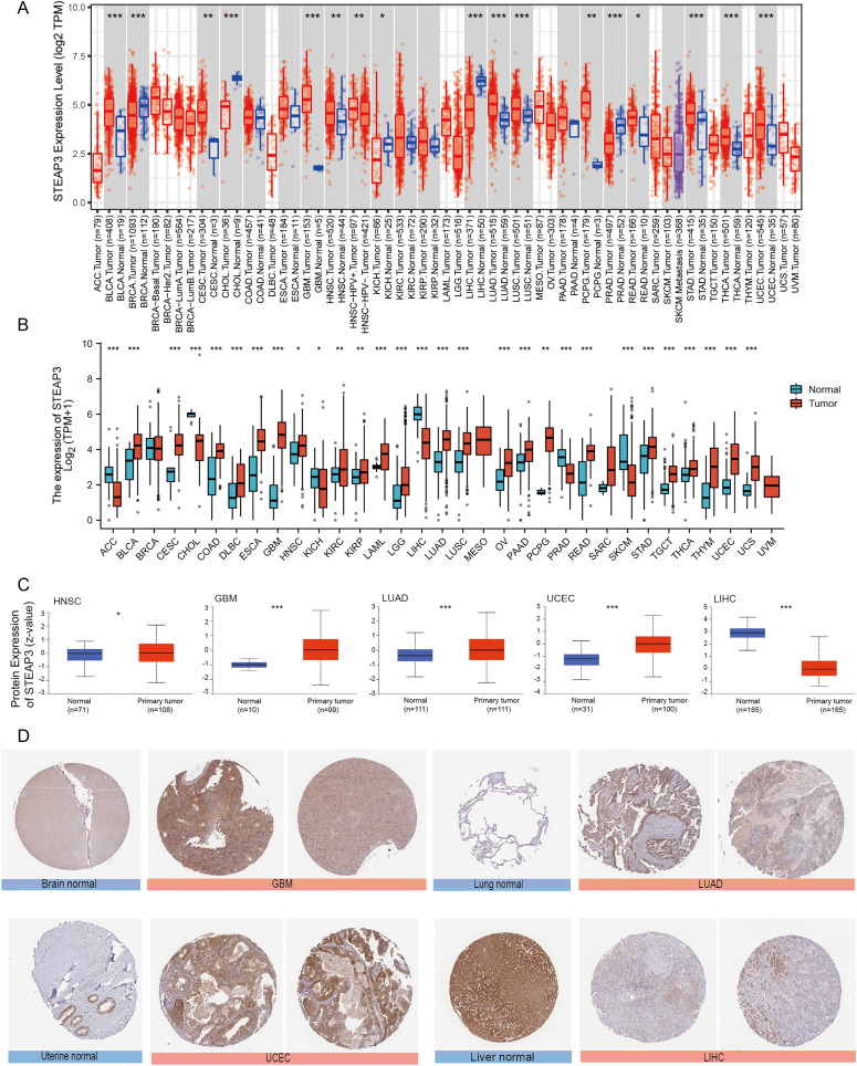 PMC10065001 – fig-1