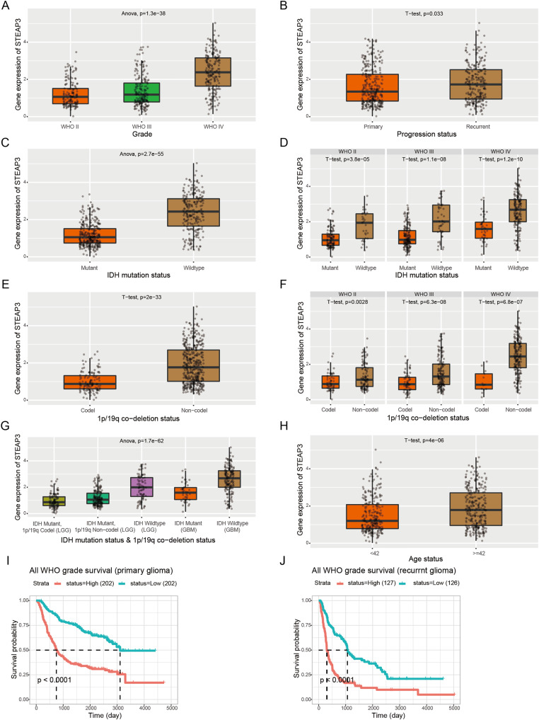 PMC10065001 – fig-3