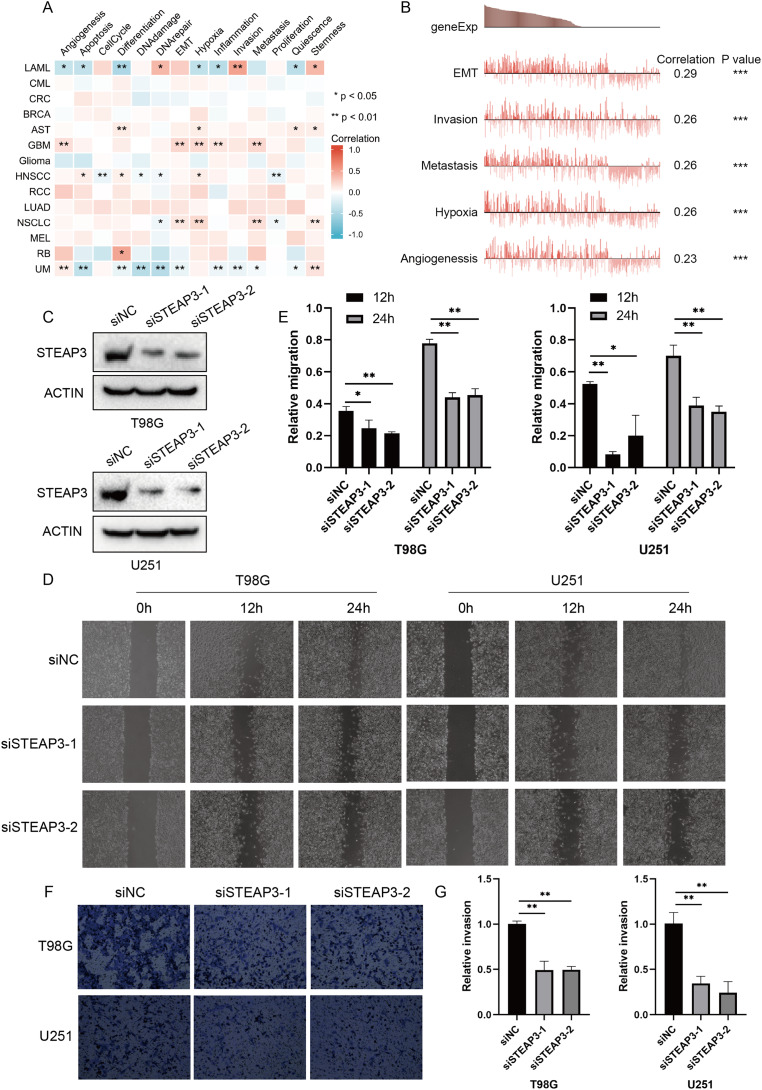 PMC10065001 – fig-5