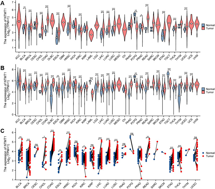 PMC10607204 – fig-1