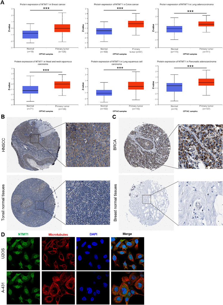 PMC10607204 – fig-2