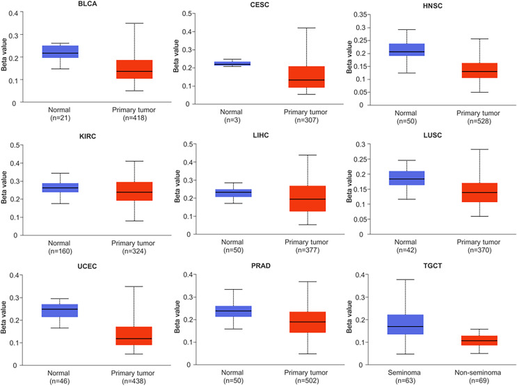 PMC10607204 – fig-6