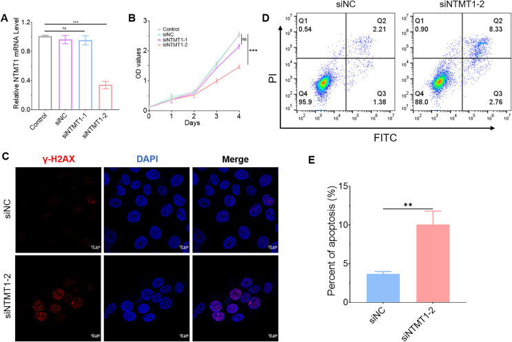 PMC10607204 – fig-10