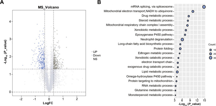 PMC10946392 – fig-1