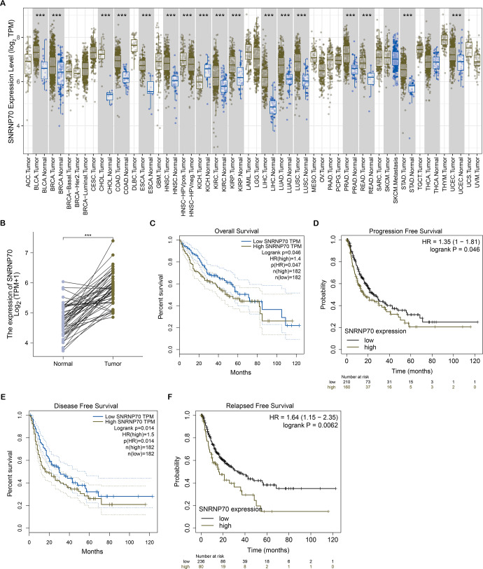 PMC10946392 – fig-2