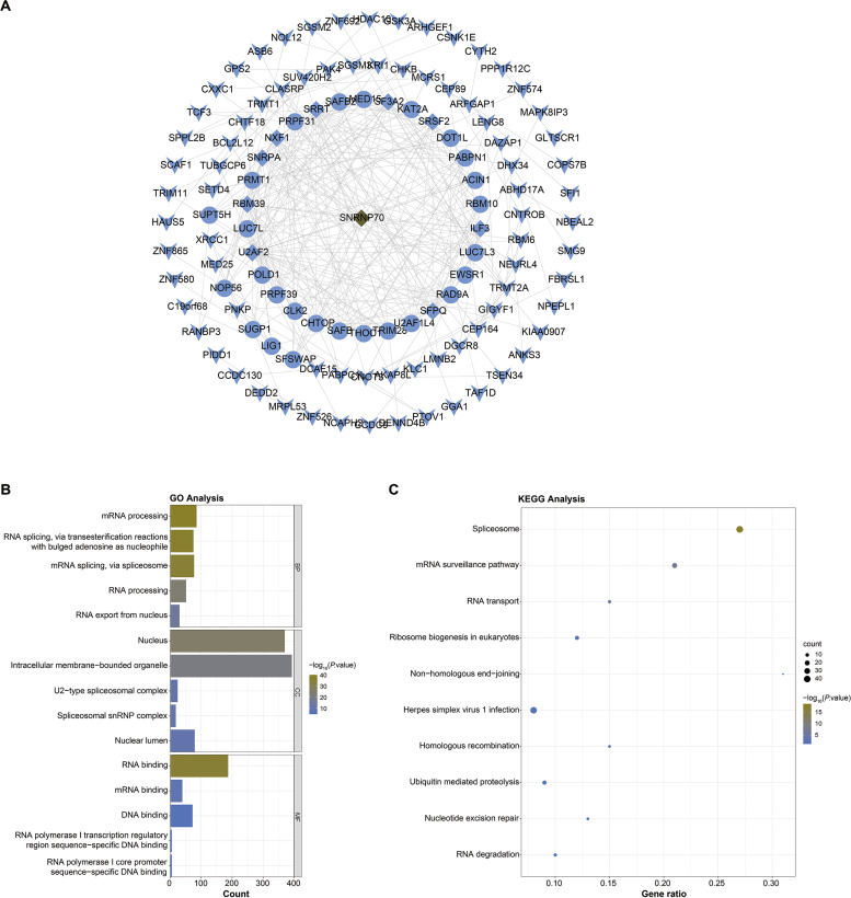 PMC10946392 – fig-4