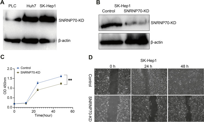 PMC10946392 – fig-8