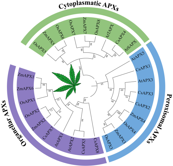PMC11057428 – fig-1