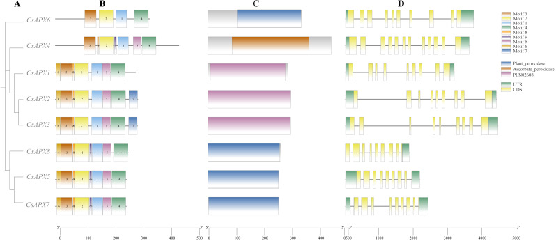 PMC11057428 – fig-2