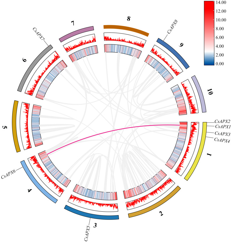 PMC11057428 – fig-4