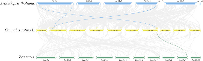 PMC11057428 – fig-5