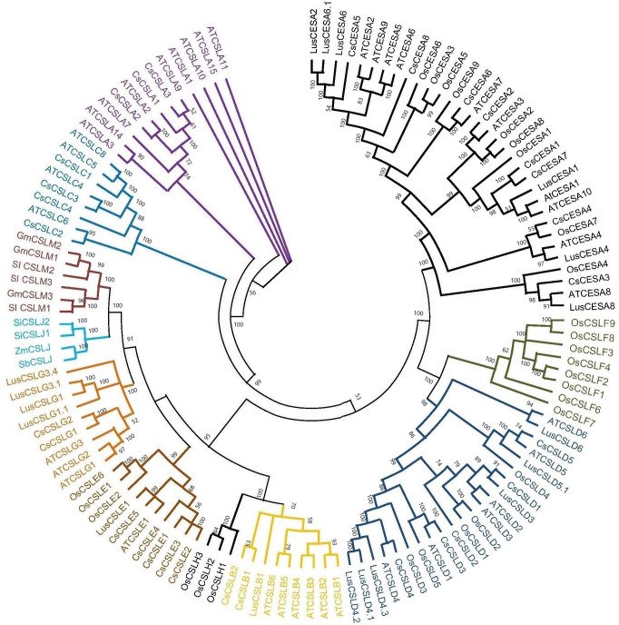 PMC11636989 – fig-1