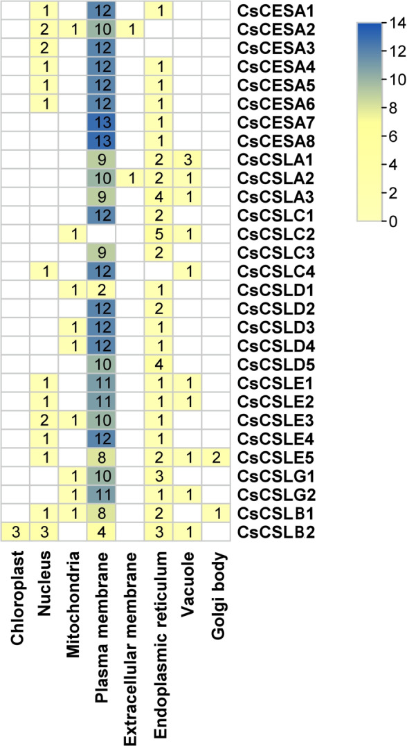 PMC11636989 – fig-2